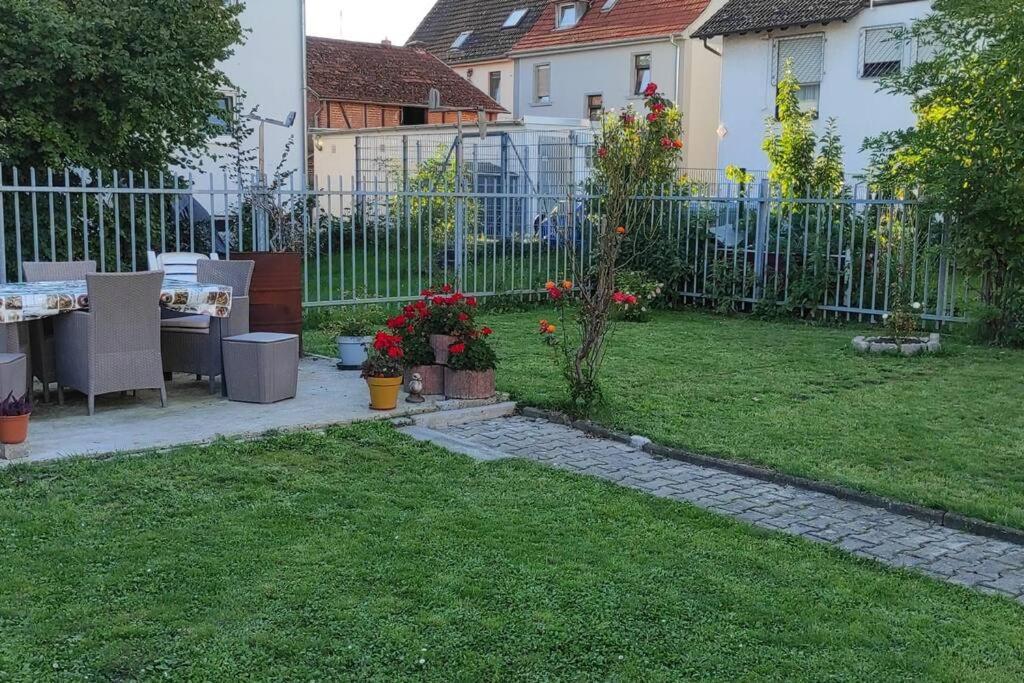 Apartment Gemuetliches Und Zentral