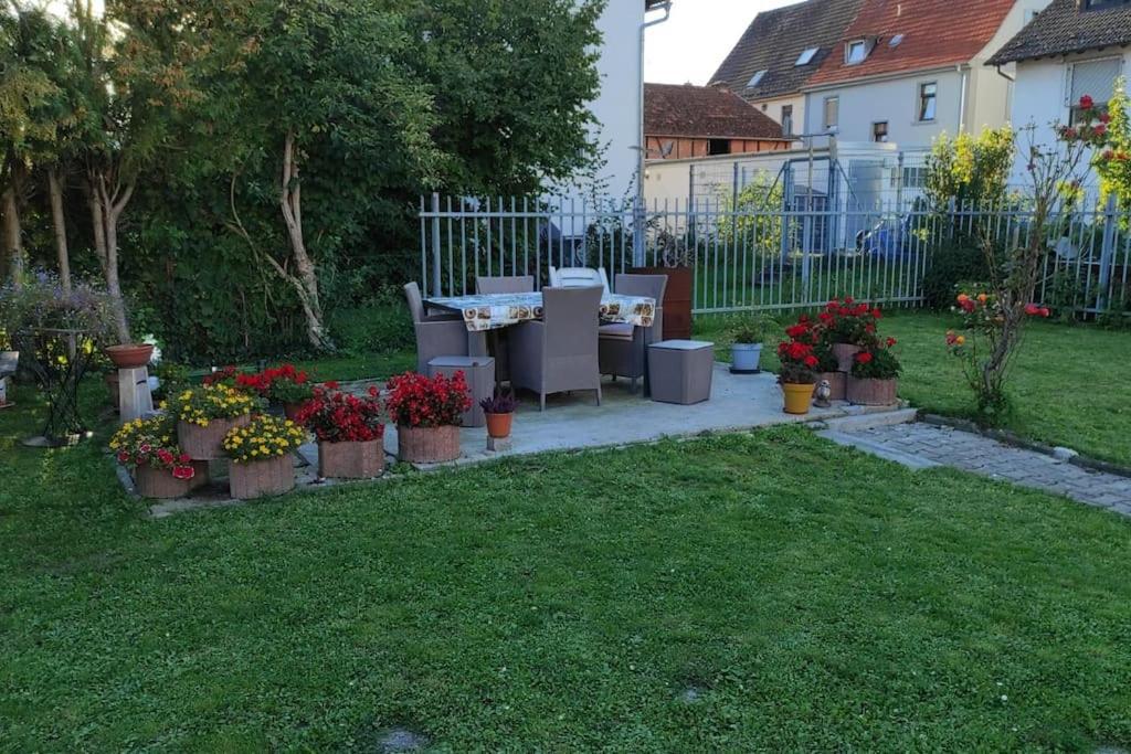 Gemuetliches Und Zentral *